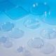 Petri Dishes